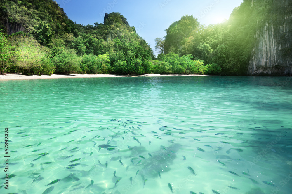 Tropical lagoon beach in Thailand Tropical lagoon beach in Thailand