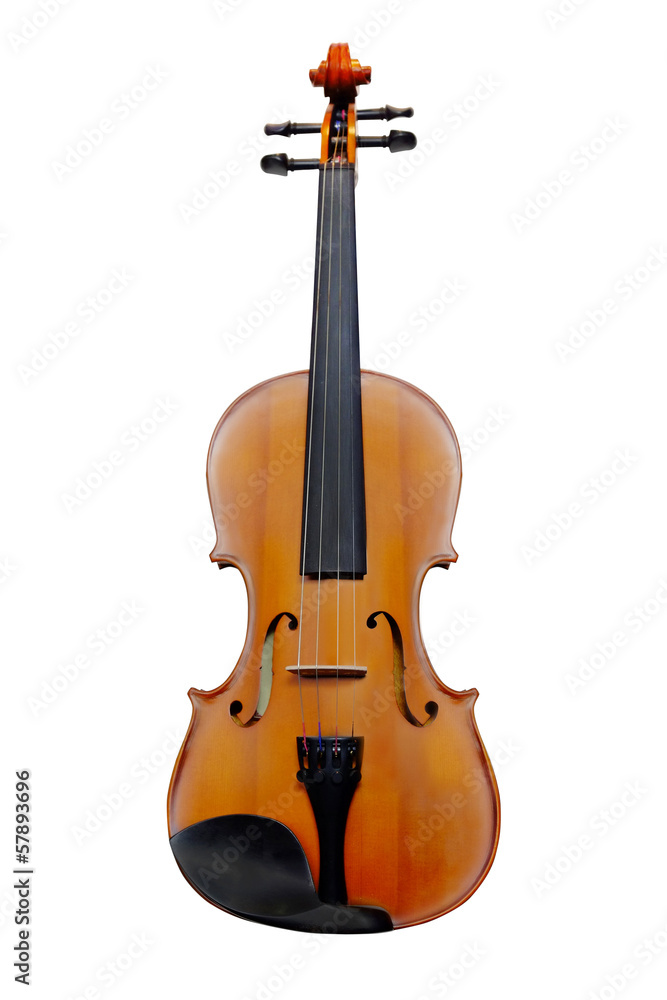 Obraz premium Violin