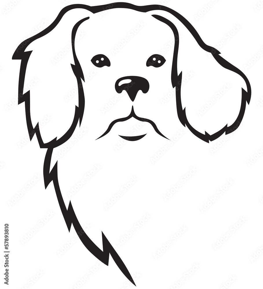 Dog's head Dog's head