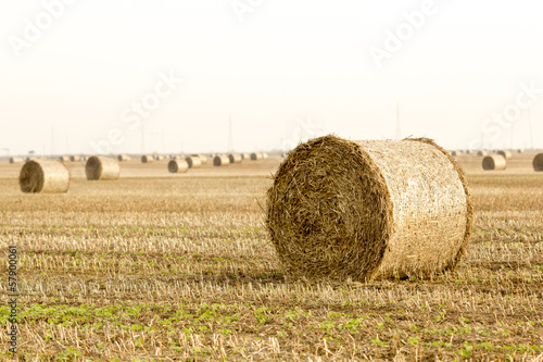 Focus on hay bale in the foreground in rural field