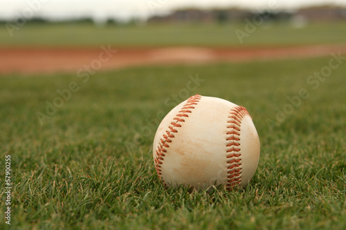 Baseball in the Grass