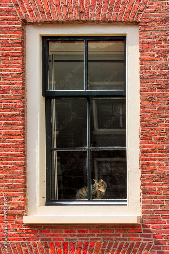 Cat on windowsill of red brick house. Cat on windowsill of red brick house.