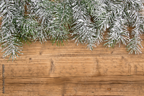 Christmas fir tree