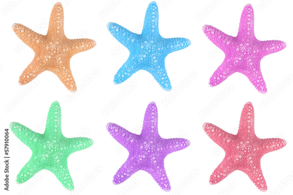 The caribbean starfishes on a white background.