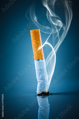 Bilde på lerret Cigarette butt - No smoking.