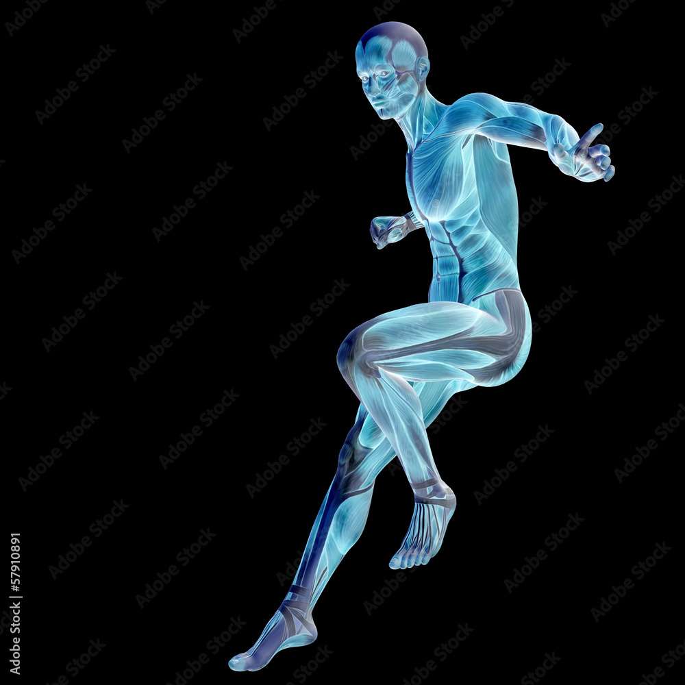 3D human man anatomy for health or medicine 3D human man anatomy for health or medicine