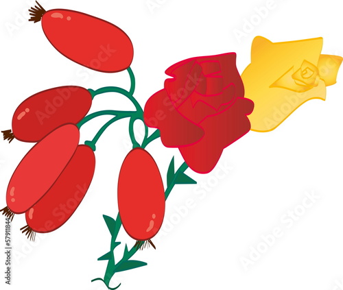 Rosehips