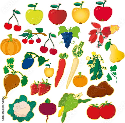 Fruits and Vegetables