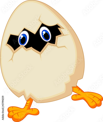Little chicken in egg