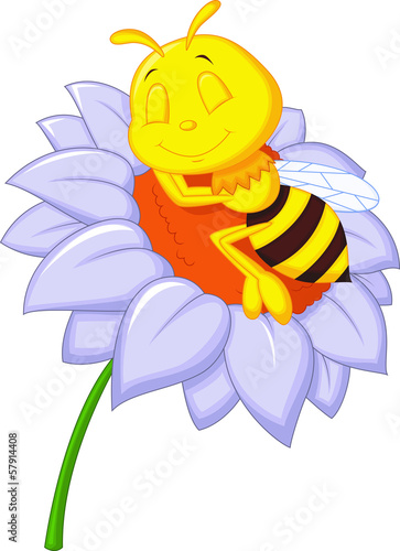 Little bee sleeping on the big flower