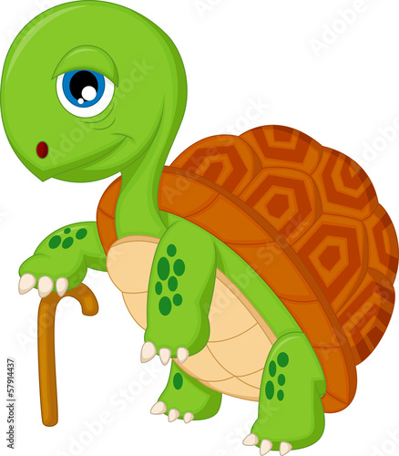 Illustration of elderly tortoise