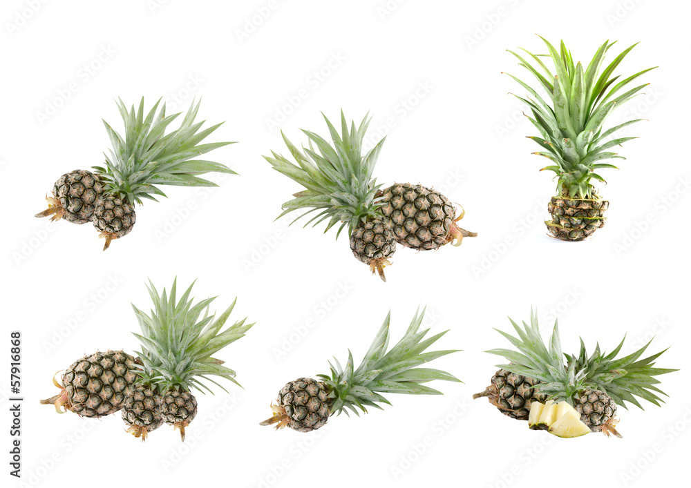 Obraz premium pineapple