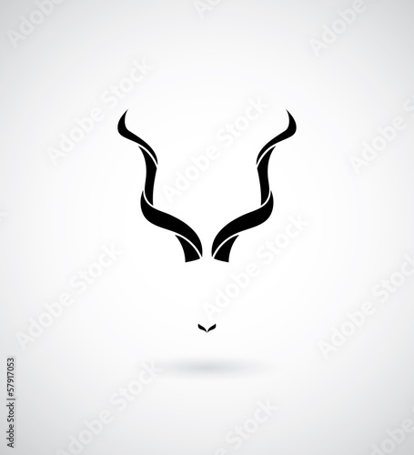 Kudu antelope horns