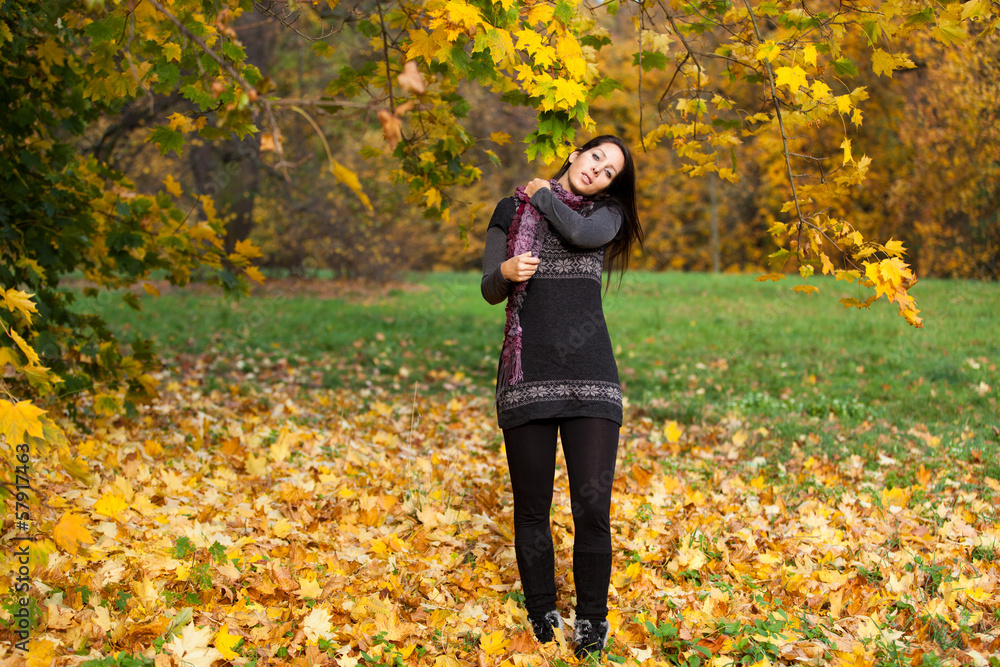 Pretty woman in a park in autumn Pretty woman in a park in autumn