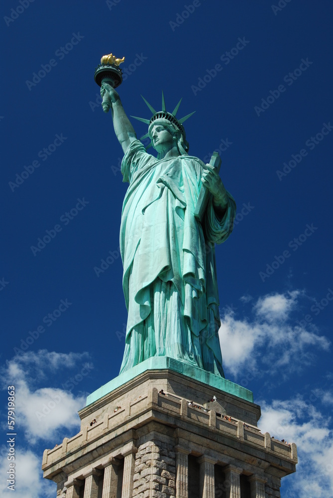 Fototapeta premium Statue of Liberty, NYC