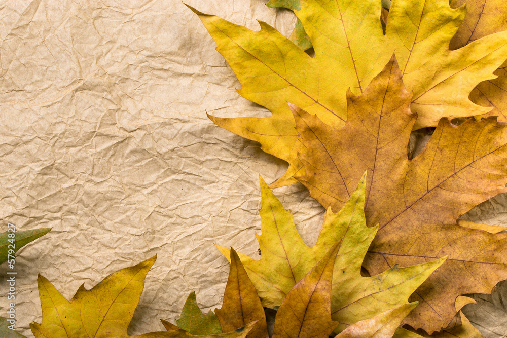 Autumn leaves on a decorative paper with a copy space Autumn leaves on a decorative paper with a copy space
