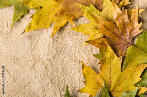 Autumn leaves on a decorative paper with a copy space