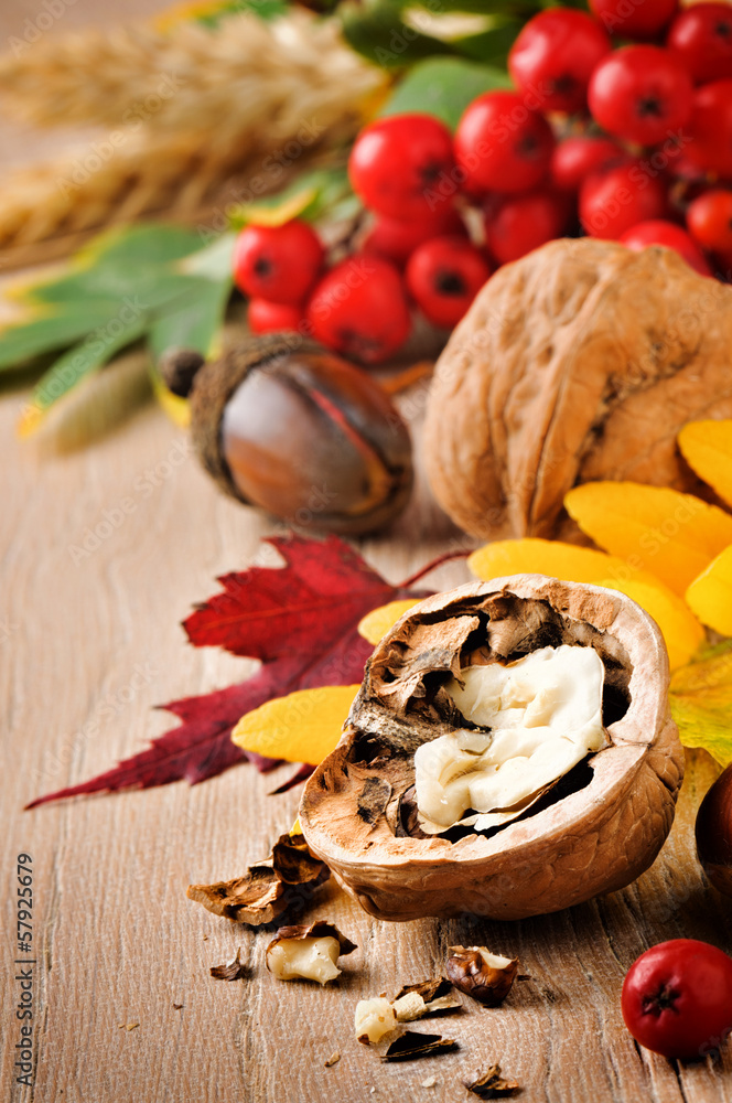 Autumn still-life with walnuts