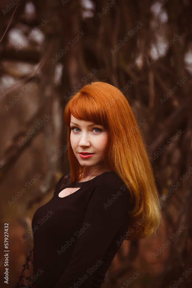 Fototapeta premium red-haired face model girl in black woman dress dry autumn dark
