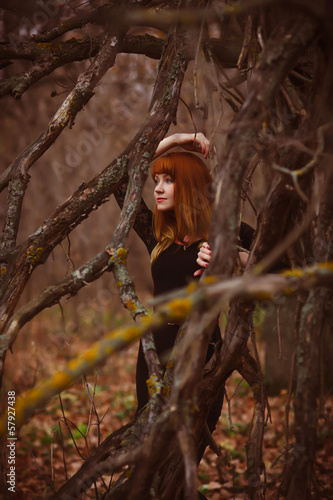 red-haired girl model woman in black dress dry autumn dark fore