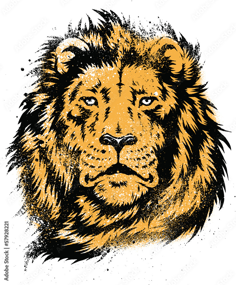 Obraz premium Wektor wzornik głowa lwa