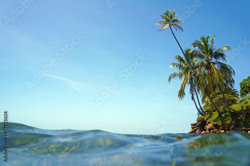 Water surface and coconut trees leaning