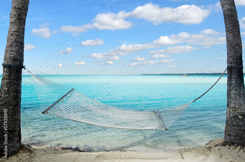 Hammock on coconut trees in tropical Island