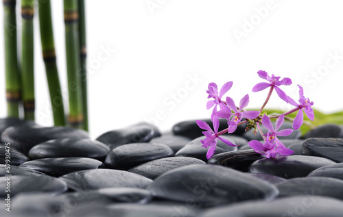 thin bamboo grove and branch orchid on pebbles