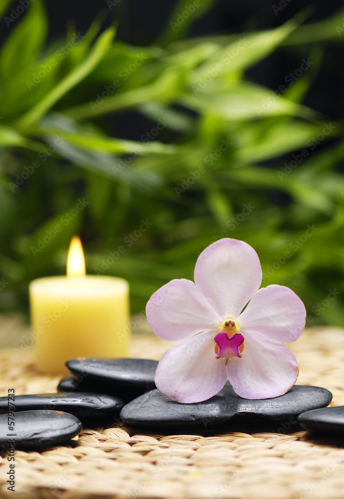candle with white orchid and stones on mat candle with white orchid and stones on mat