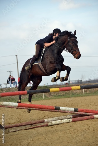 horse jumping