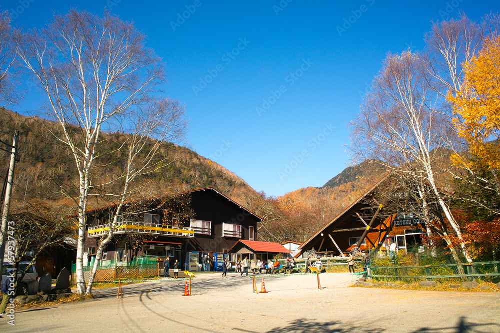 Fototapeta premium 秋の光徳牧場