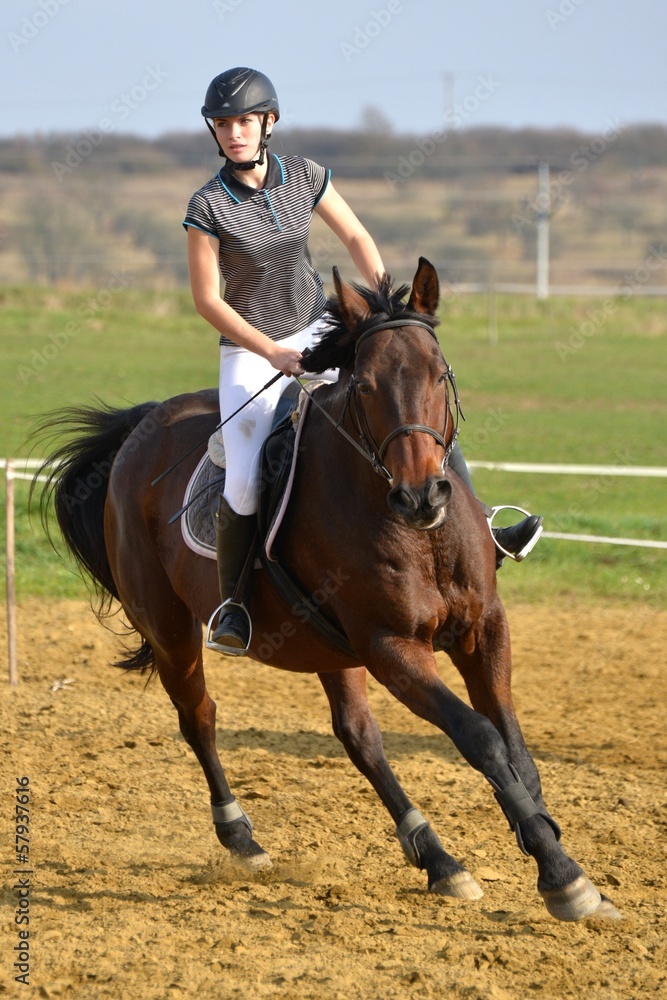 horse jumping