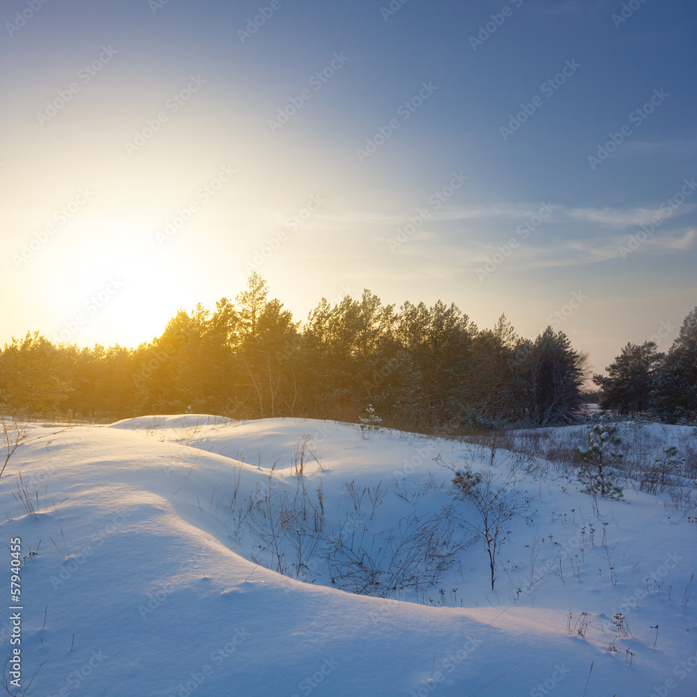 Obraz premium evening winter scene