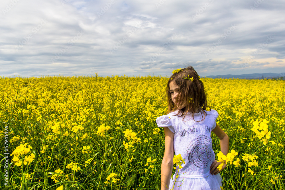 Dans les champs de Colza Dans les champs de Colza