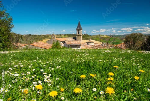 Flower field in front of Lautrec village, France photo