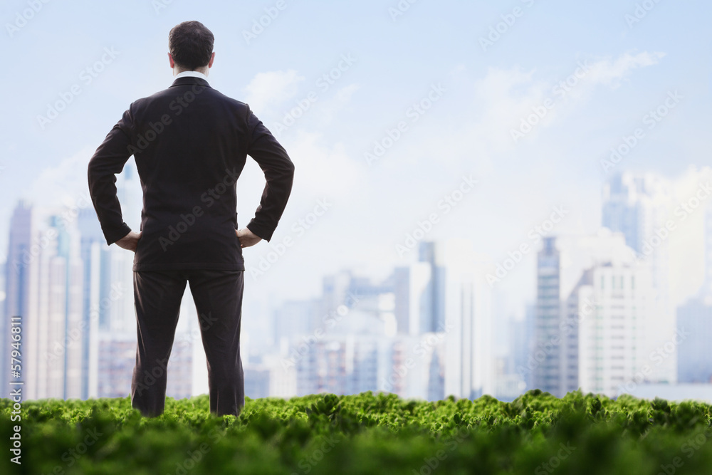Rear view of businessman with hands on hips standing in a green field and looking at the city skyline Rear view of businessman with hands on hips standing in a green field and looking at the city skyline