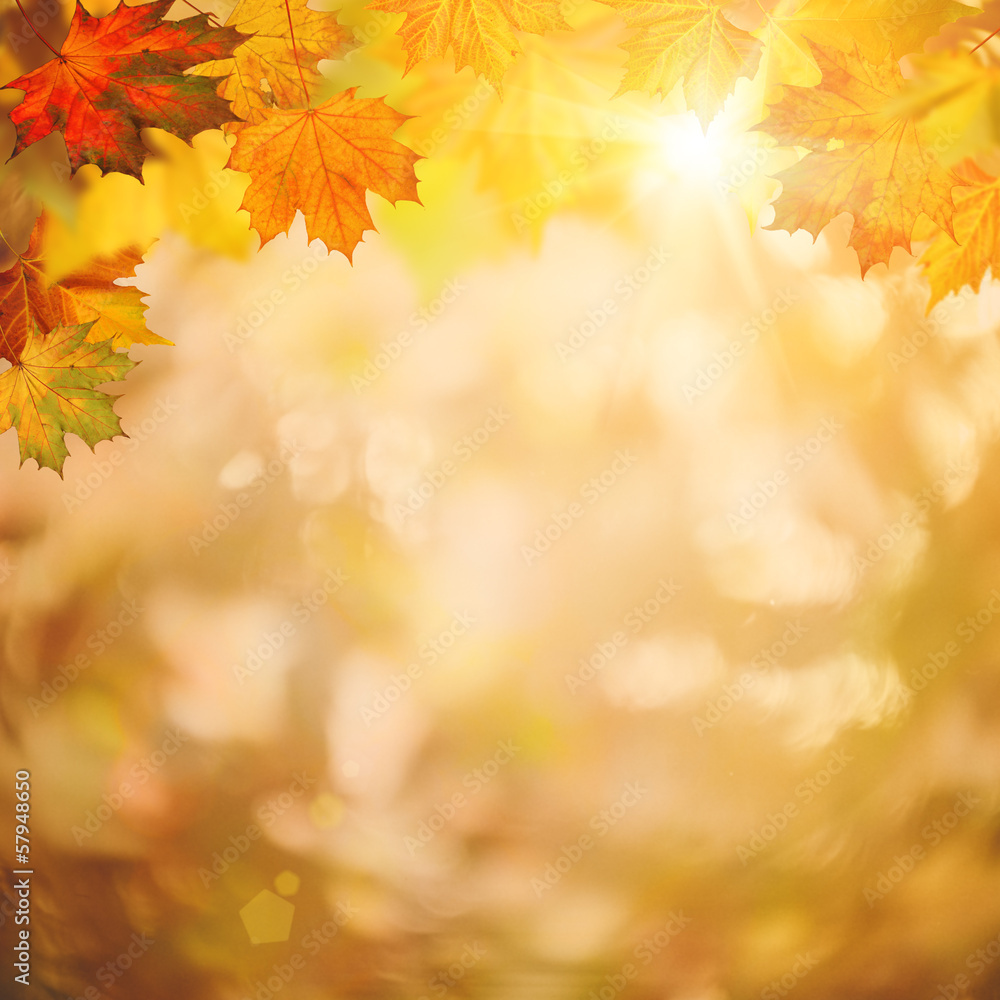 Abstract autumnal backgrounds for your design