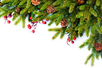 Christmas. Evergreen Fir tree Border Design