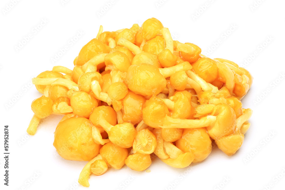 Pholiota nameko Pholiota nameko