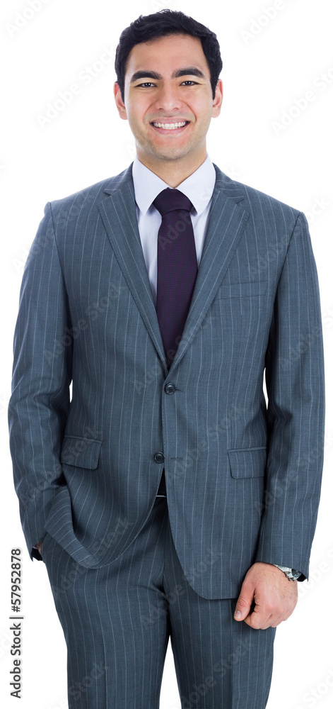 Smiling businessman standing Smiling businessman standing