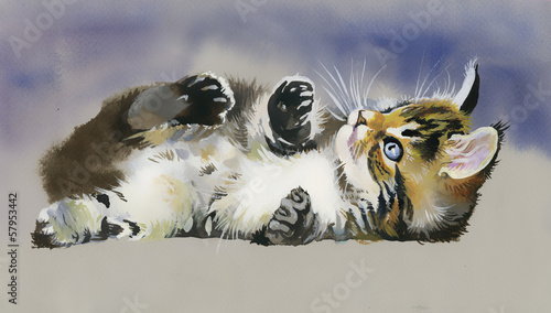 Fototapeta Naklejka Na Ścianę i Meble -  Watercolor Animal Collection: Cat