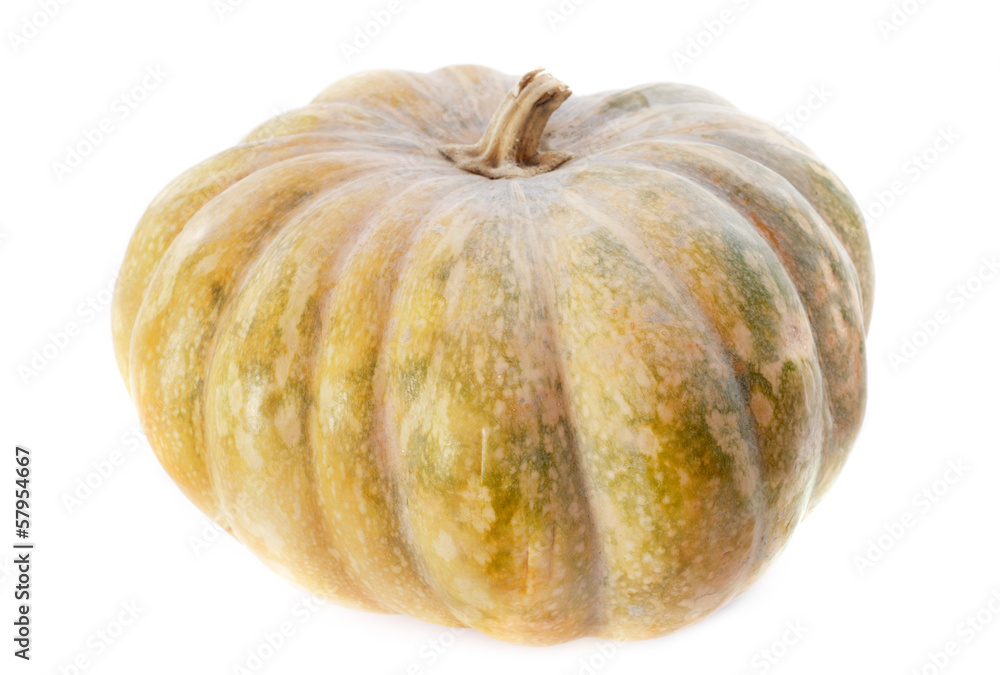 pumpkin pumpkin