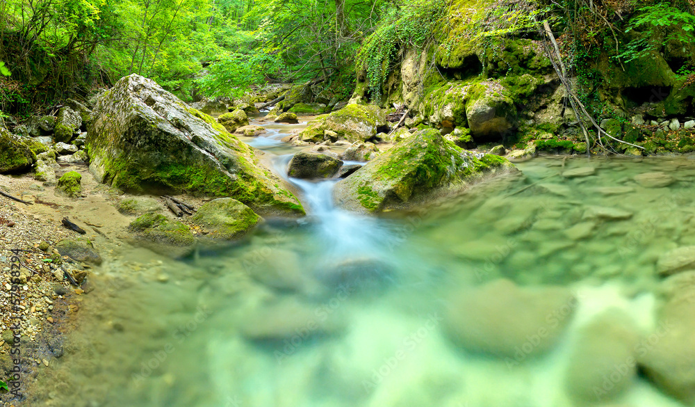 Canyon in the summer time. Beautiful landscape Canyon in the summer time. Beautiful landscape