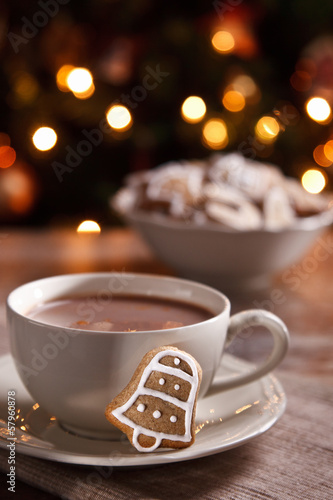 A cup of hot chocolate with gingerbread