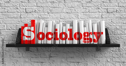 Canvas Print Sociology. Education Concept.