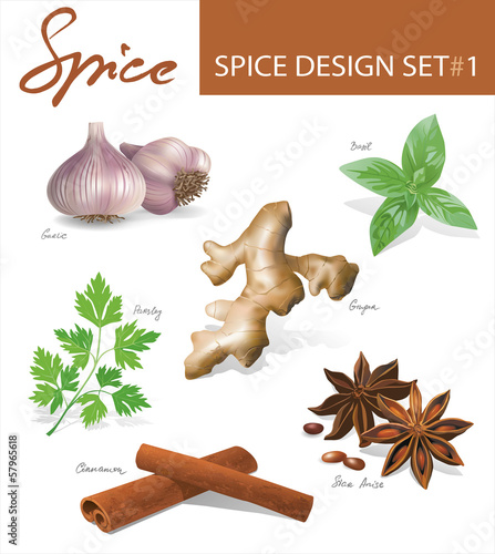 Spice images design set 1. Vector illustration.