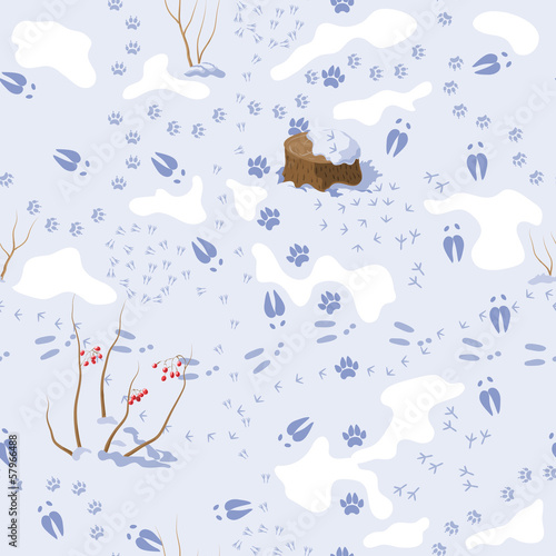 animal tracks