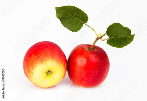 two apples isolated on white