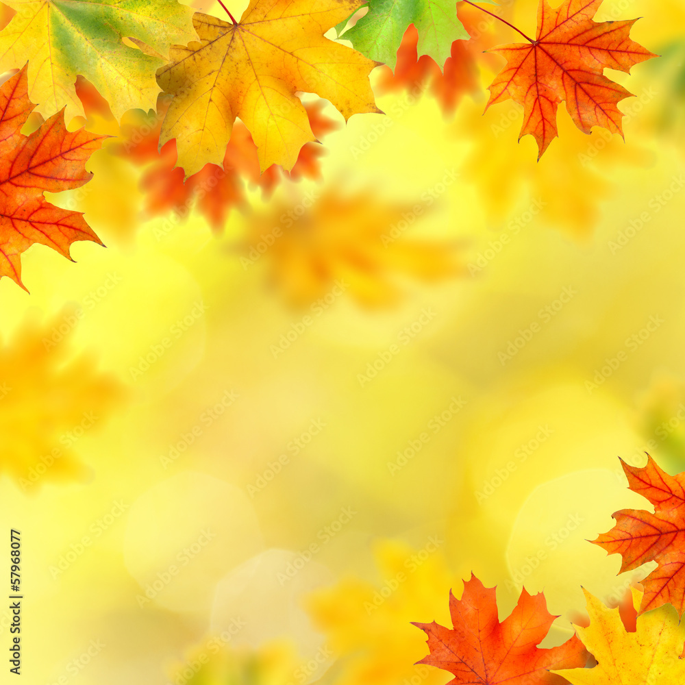backround with autumn leaves