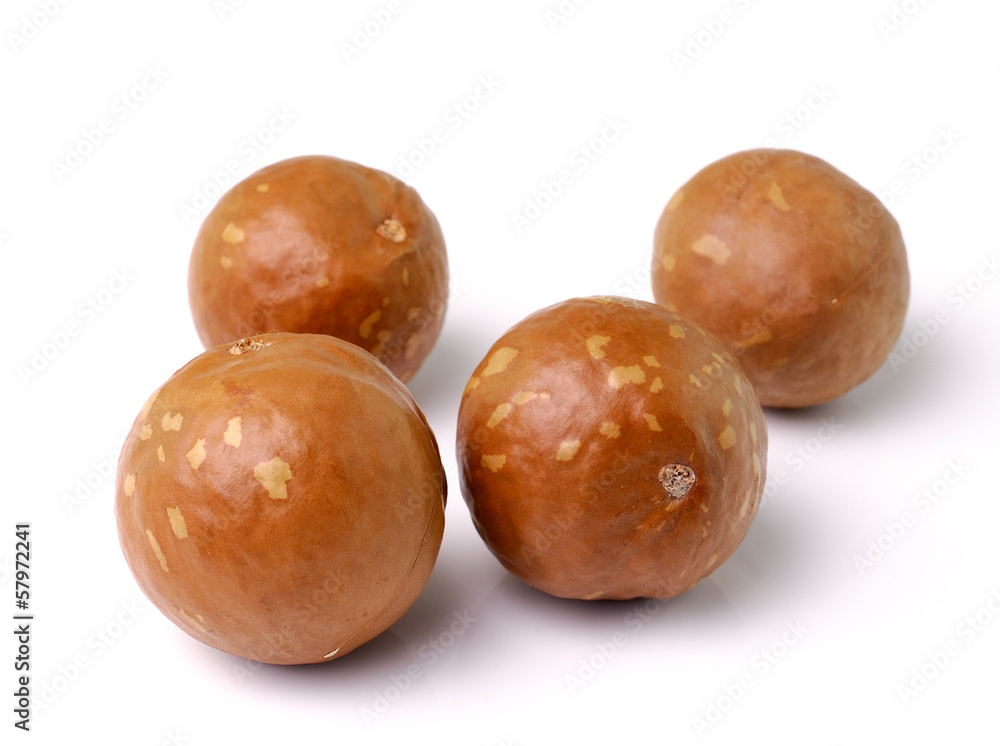 macadamia nuts on white background macadamia nuts on white background